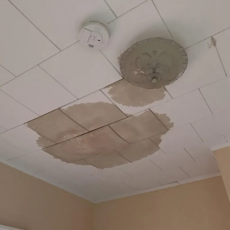 Ceiling Water Damage Repair in Hertford, NC