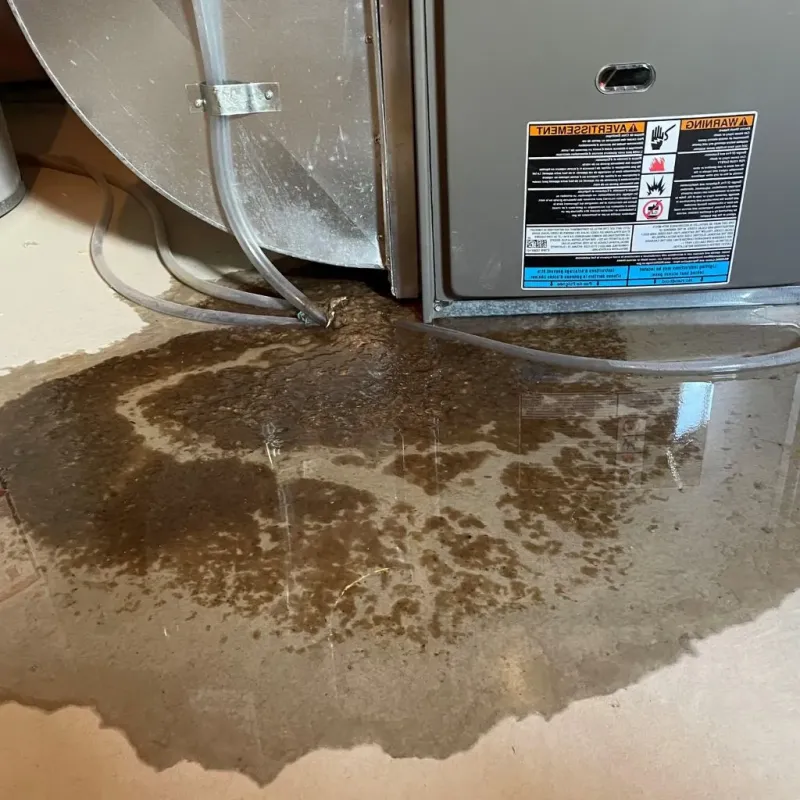 Pipe Burst and Leak Restoration in Hertford, NC