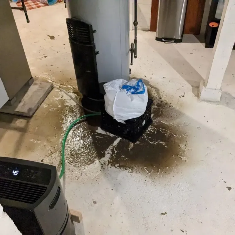 Sewage Backup Cleanup Service in Hertford, NC